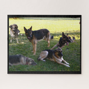 DEUTSCHES SHEPHERDOGS-Puzzle Puzzle