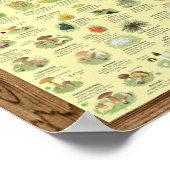 " Deutschland: 2020 - Das große PILZe Bestimmungs- Poster (Ecke)