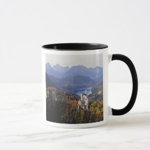 Deutschland, Bayern, Schloss Neuschwanstein.Extra  Tasse