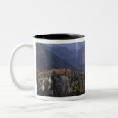 Deutschland, Bayern, Schloss Neuschwanstein.Extra Zweifarbige Tasse (Links)