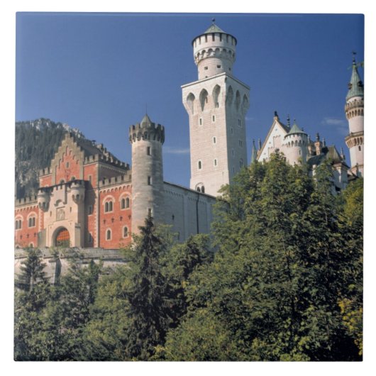 Deutschland, Bayern, Schloss Neuschwanstein. Fliese (Vorderseite)