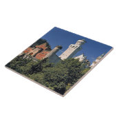 Deutschland, Bayern, Schloss Neuschwanstein. Fliese (Seite)