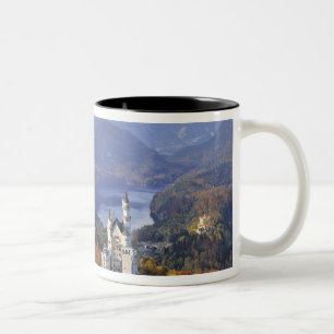 Deutschland, Bayern, Schloss Neuschwanstein. König Zweifarbige Tasse