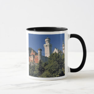 Deutschland, Bayern, Schloss Neuschwanstein. Tasse