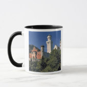 Deutschland, Bayern, Schloss Neuschwanstein. Tasse (Links)