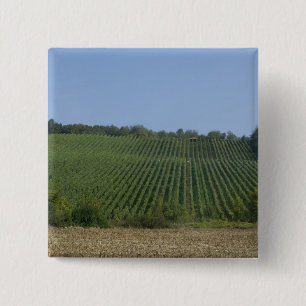 Deutschland, Franken, Rothenburg. Blick entlang de Button