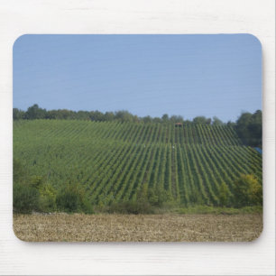 Deutschland, Franken, Rothenburg. Blick entlang de Mousepad