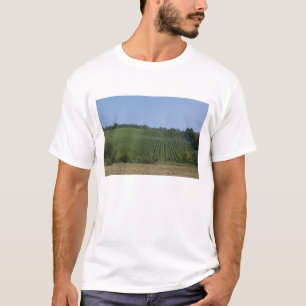 Deutschland, Franken, Rothenburg. Blick entlang de T-Shirt