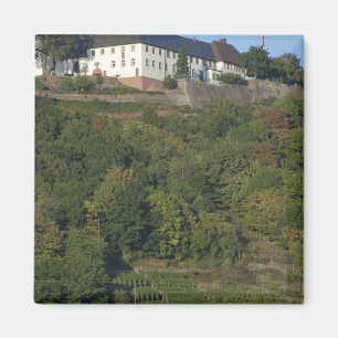 Deutschland, Franken, Wertheim. Besonderer Hang Magnet