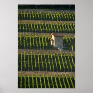 Deutschland, Franken, Wertheim. Spezieller Hang 2 Poster