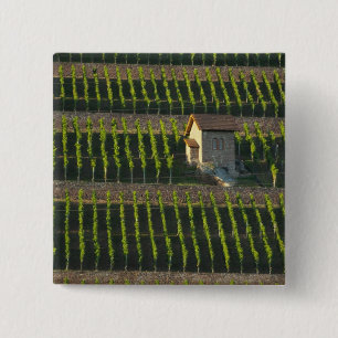 Deutschland, Frankreich, Wertheim. Besondere Hangl Button