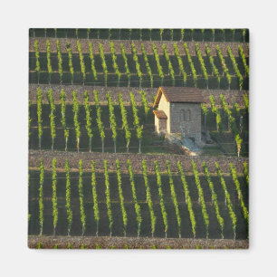 Deutschland, Frankreich, Wertheim. Besondere Hangl Magnet