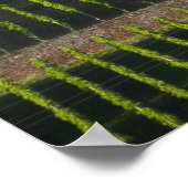 Deutschland, Frankreich, Wertheim. Besondere Hangl Poster (Ecke)