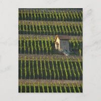 Deutschland, Frankreich, Wertheim. Besondere Hangl