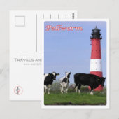 Deutschland - Friesen - Pellworm - Postkarte (Vorne/Hinten)