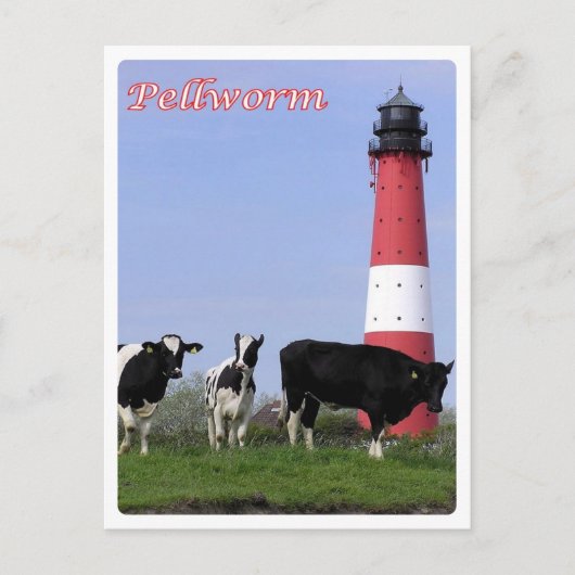 Deutschland - Friesen - Pellworm - Postkarte (Vorderseite)