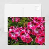 Deutschland Postkarte (Vorne/Hinten)