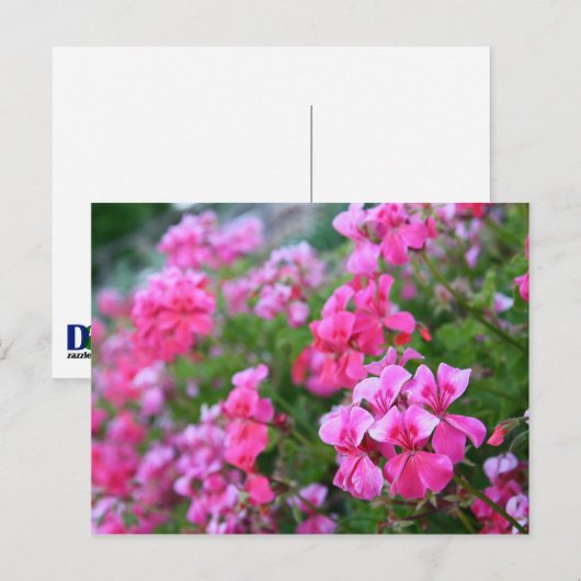 Deutschland Postkarte (Vorne/Hinten)