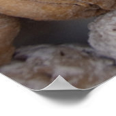 Deutschland, Rothenburg Rothenburg 2 Poster (Ecke)