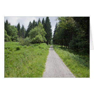 Deutschland, Thüringen, Waldweg