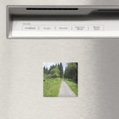 Deutschland, Thüringen, Waldweg Magnet (In Situ (Geschirrspüler))