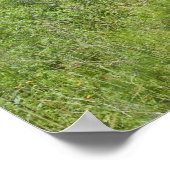 Deutschland, Thüringen, Waldweg Poster (Ecke)