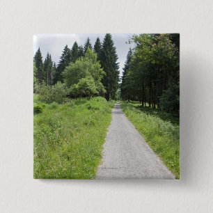 Deutschland, Thüringen, Weg im Wald Button