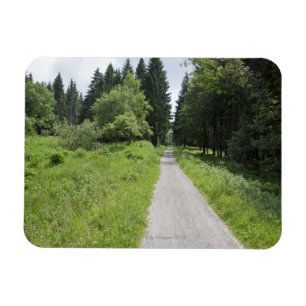 Deutschland, Thüringen, Weg im Wald Magnet