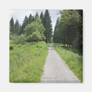 Deutschland, Thüringen, Weg im Wald Magnet