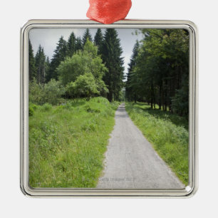 Deutschland, Thüringen, Weg im Wald Ornament Aus Metall