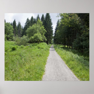 Deutschland, Thüringen, Weg im Wald Poster