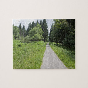 Deutschland, Thüringen, Weg im Wald Puzzle