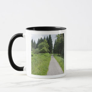 Deutschland, Thüringen, Weg im Wald Tasse