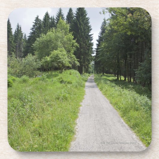 Deutschland, Thüringen, Weg im Wald Untersetzer (Vorderseite)