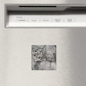 Devata Magnet (In Situ (Geschirrspüler))
