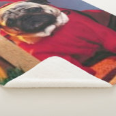 DEVIL MOPS SHERPADECKE (3/4)
