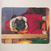 DEVIL MOPS SHERPADECKE (Vorderseite (Horizontal))