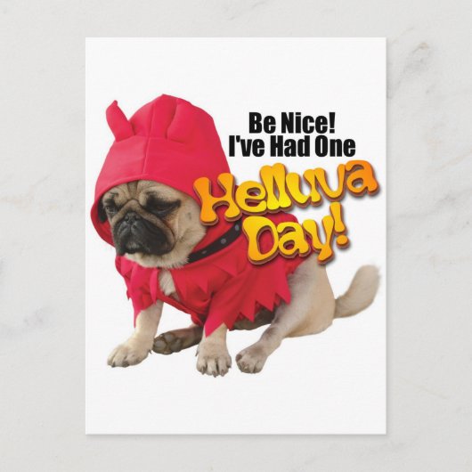 DevilDog.jpg Postkarte (Vorderseite)