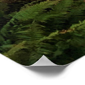 Devil's Churn, Cape Perpetua, Oregon Coast Poster (Ecke)