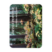 Devil's Club, Devils Postpile National Monument Magnet (Vertikal)