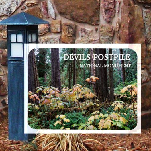 Devil's Club, Devils Postpile National Monument Magnet