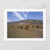 "Devils Cornfield" Postkarte (Vorderseite)