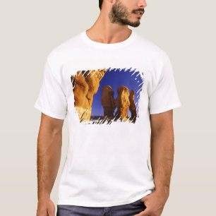 Devils Garden in der Grand Treppe Escalante T-Shirt