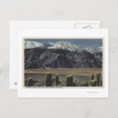 Devil's Garden View of Mt. San Jacinto # 2 Postkarte (Vorne/Hinten)