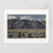 Devil's Garden View of Mt. San Jacinto # 2 Postkarte (Vorderseite)