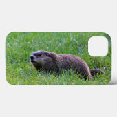 Devil's Hole Digger Case-Mate iPhone Hülle (Rückseite (Horizontal))