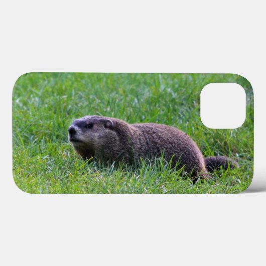 Devil's Hole Digger Case-Mate iPhone Hülle (Rückseite (Horizontal))