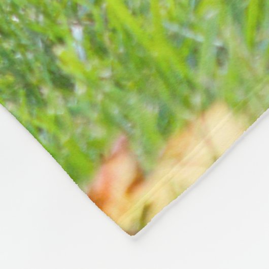 Devil's Hole Digger Fleecedecke (Ecke)