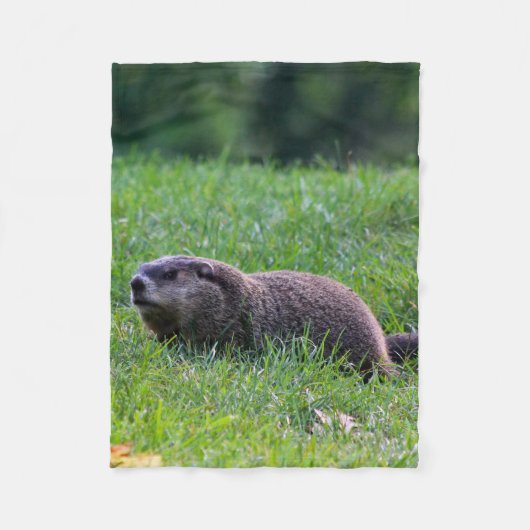 Devil's Hole Digger Fleecedecke (Vorderseite)