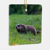 Devil's Hole Digger Keramikornament (Rechts)